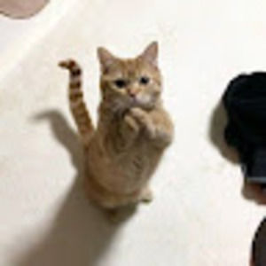 Meet your Posher, Valentina